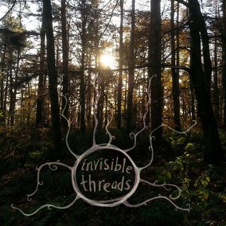 A photo of a forest with the sun behind tall pine trees. A hand drawn title and graphic comprising a circle emanating tentacles, or mycelium-like threads is superimposed.