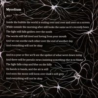 Mycelium Lyrics 1